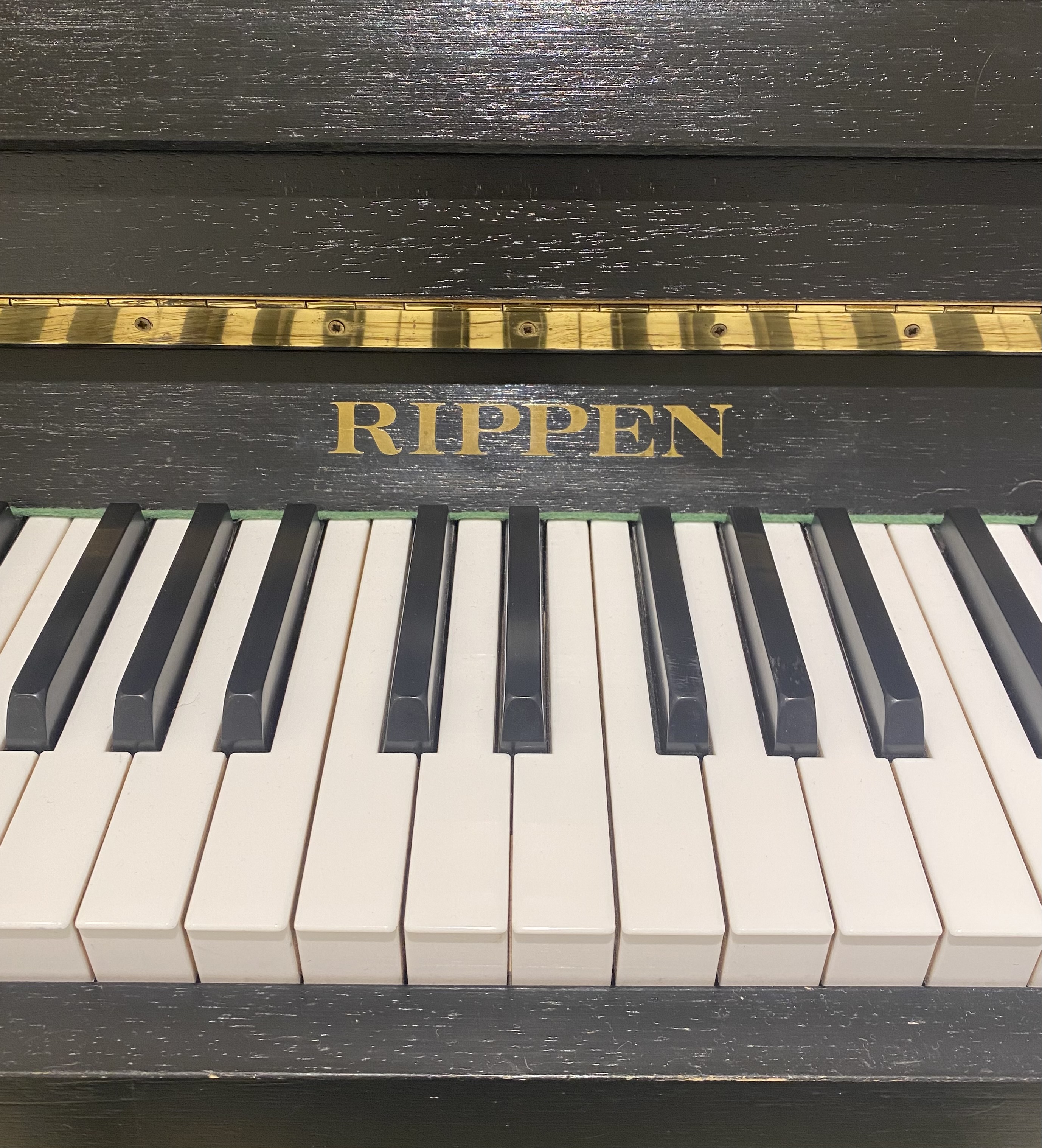 Rippen Piano Cantabile